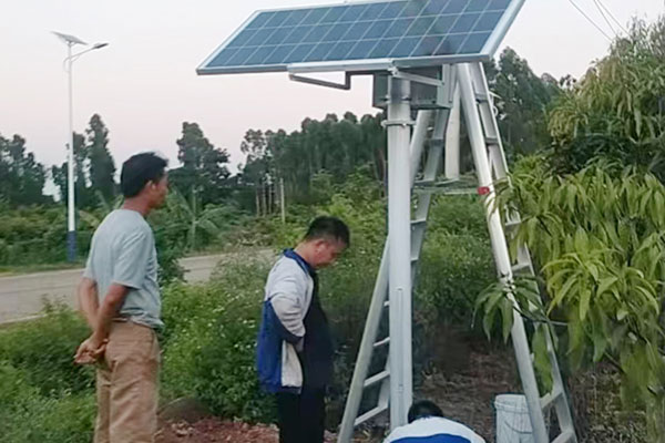 雷州市芒果产业园综合数字化公共服务平台项目农业四情监测系统案例